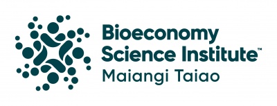 01 Primary BSI Ingoa Logo Slate RGB