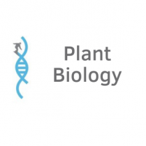 Plant Biology Meeting