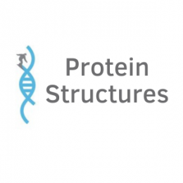 Protein Structures Meeting
