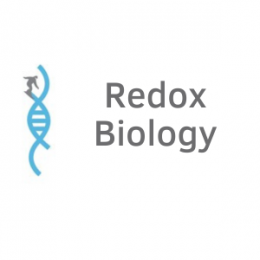 Redox Biology Meeting